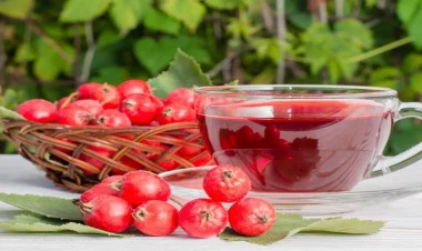 Bu bitki xərçəngin qarşısını alır