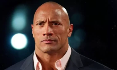 Dueyn Consona görə şirkət 50 milyon zərərə düşdü