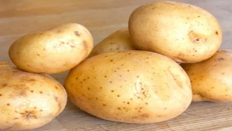 Kartof bişirərkən edilən SƏHV