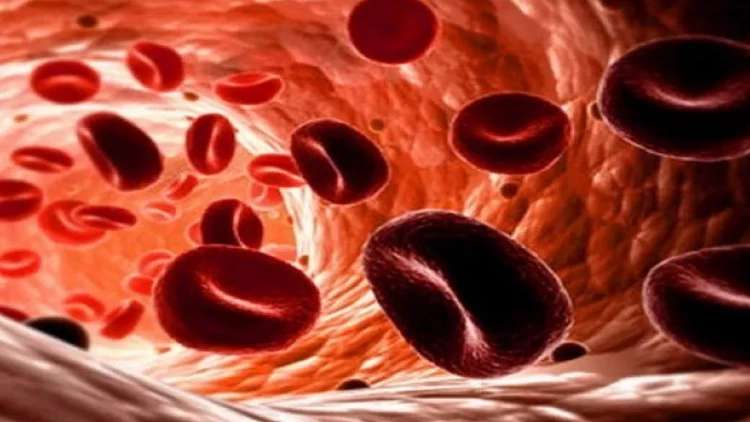 Qanda dəmir çatışmazlığının 7 əlaməti