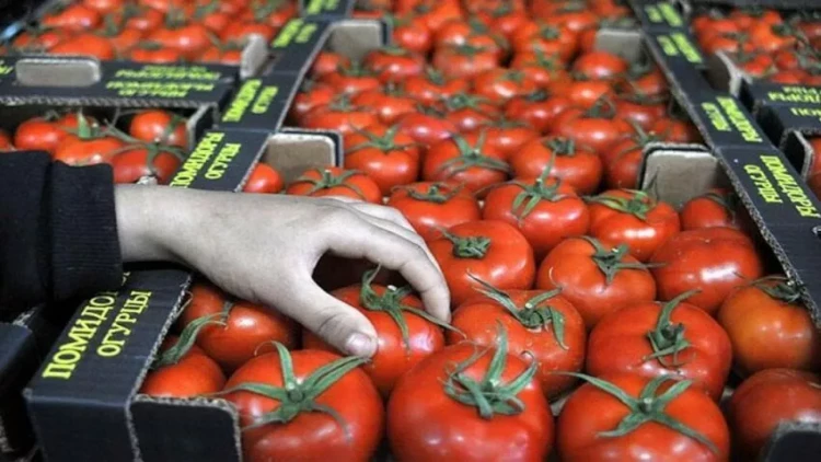 Pomidor və xiyarın qiyməti niyə əl yandırır? - ARAŞDIRMA