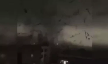 Çindəki tornado görənləri heyrətləndirdi - VİDEO