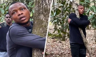 Bir saatda qucaqladığı ağaclar afrikalı gəncin adını tarixə yazdı - FOTO