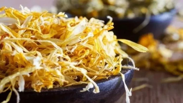 Yabanı halda bitən bu bitki xərçəng hüceyrələrini 48 saatda məhv edir!