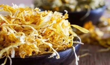 Yabanı halda bitən bu bitki xərçəng hüceyrələrini 48 saatda məhv edir!