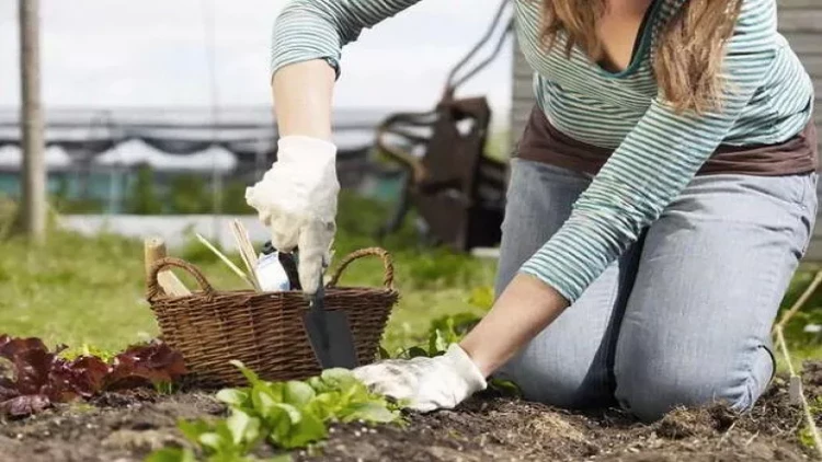 Bağda işləmək bu problemləri azaldır