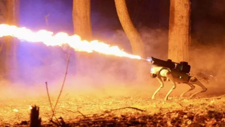 Alov saçan robot it satışa çıxarıldı - VİDEO