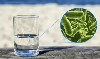 Fransada içməli suda təhlükəli bakteriyalar aşkarlanıb - FOTO