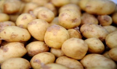 Pəhriz saxlayanda kartof yeməyin: SƏBƏB