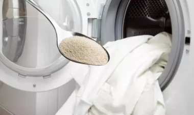 Paltaryuyana 1 paket quru maya əlavə edin - Nəticə sizi təəccübləndirəcək