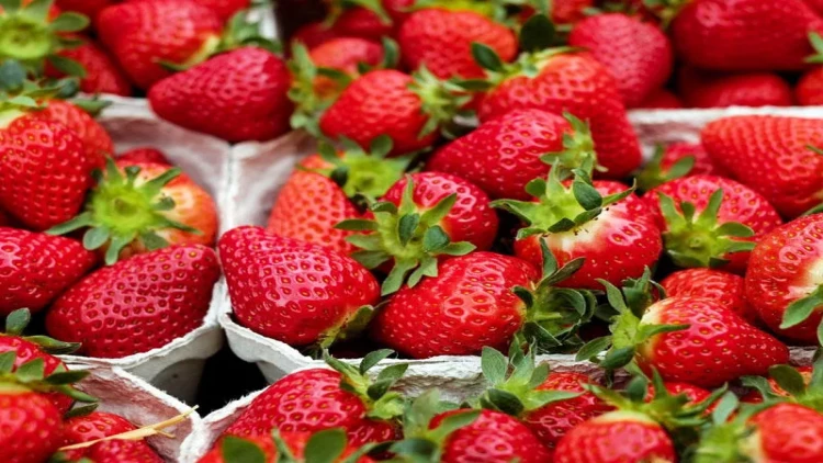 Depressiyadan əziyyət çəkənlər bu meyvədən yesin - Mövsümüdür...