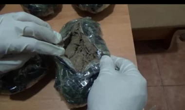 Qazaxda narkokuryer saxlanılıb -  FOTO