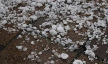 Xınalığa dolu düşdü