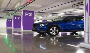 Azərbaycanlı gənc parkinqə görə adam öldürdü