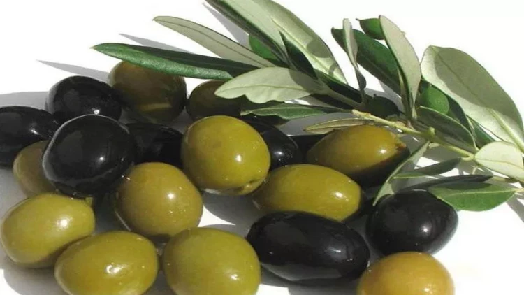 Yatmadan əvvəl 11 zeytun yeyin