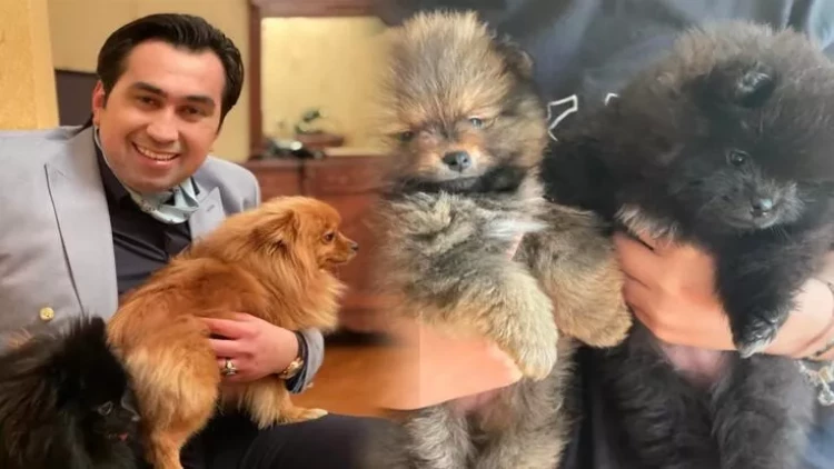 Eltonun evi itlə doludur - FOTOlar