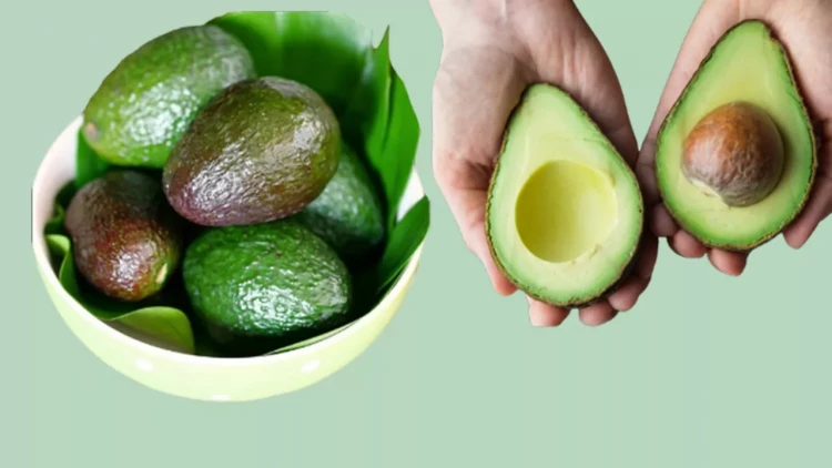 Niyə hər gün avokado yemək lazımdır? - Mütəxəssislər AÇIQLADI
