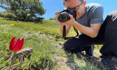 Bu çiçəyi dərən 13 min manat cərimə ödəyəcək - FOTOlar