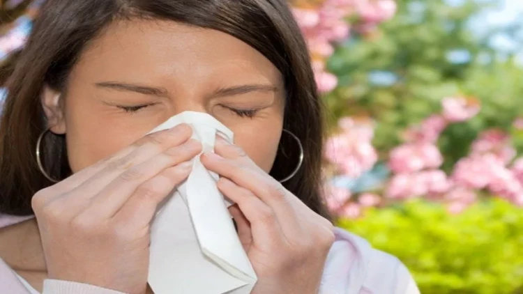 Allergiya xəstələri çiçəkləmə mövsümündə nə etməlidir?