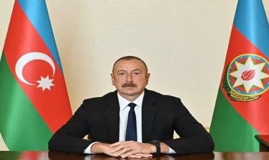 Məişət zorakılığından zərər çəkmiş şəxslərin dövlət vəsaiti hesabına hüquqi yardımla təmin edilməsi qaydası təsdiqlənəcək