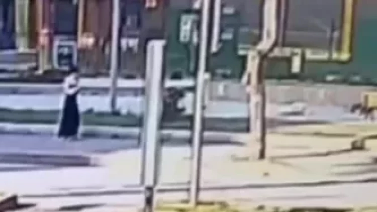 İtlərin hücumundan qaçan qadını maşın vurdu - ANBAAN VİDEO