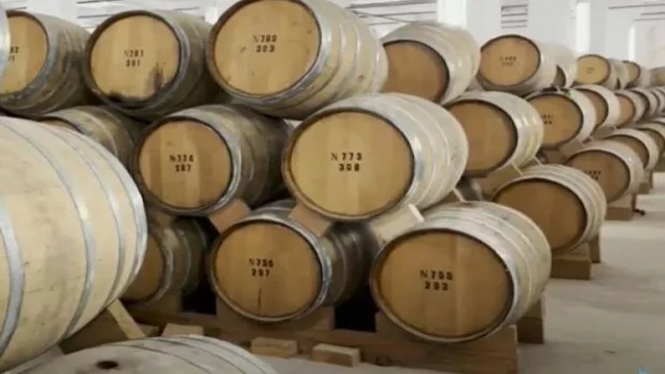 Xankəndidə erməni oliqarxların zavodu: Zirzəmidən görün nələr tapıldı - VİDEO