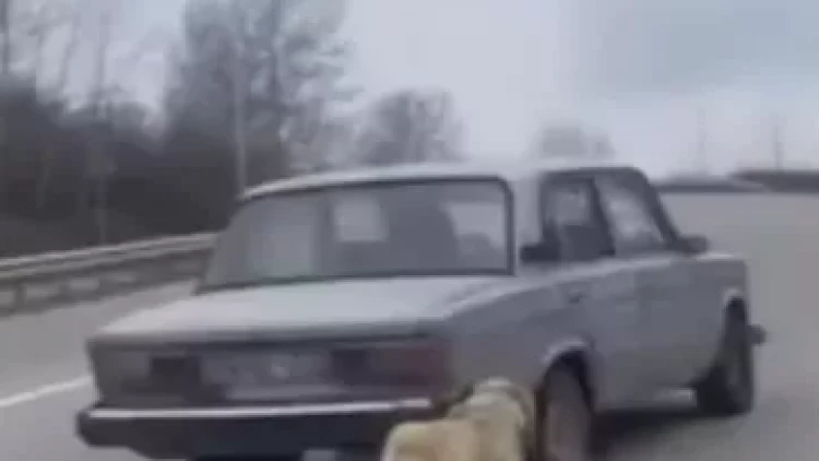 DİN-dən sosial şəbəkələrdə yayılan VİDEO ilə bağlı açıqlama