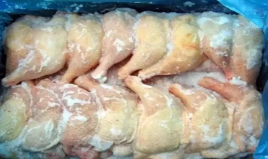 Belarusdan gətirilən dondurulmuş toyuqlarda bakteriya aşkarlandı