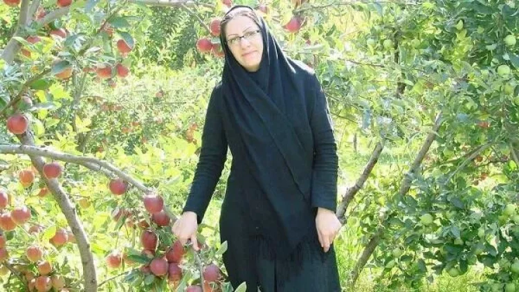 Yazıçı vəfat etdi