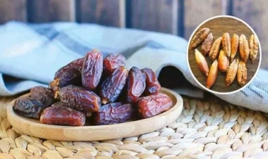Xurma tumlarının faydası - Yeyəndən sonra atmayın