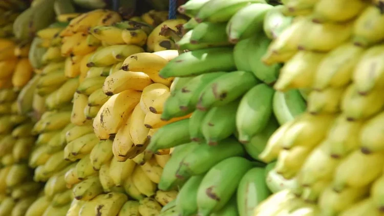 Bazarlarda banan adı ilə satılan məhsul əslində nədir? - VİDEO