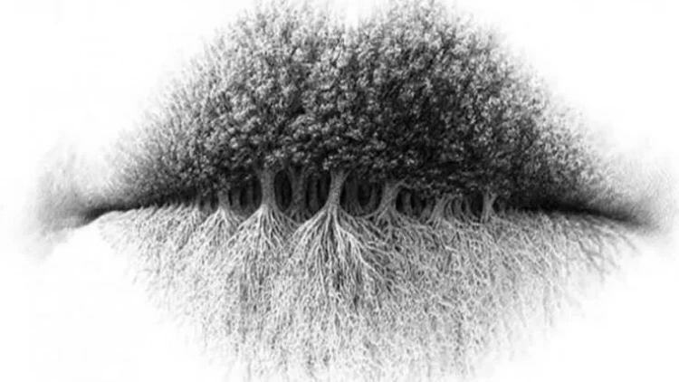 Şəkildə ilk nə gördünüz? Özünüz haqda çox şeyi aşkar edə bilərsiniz