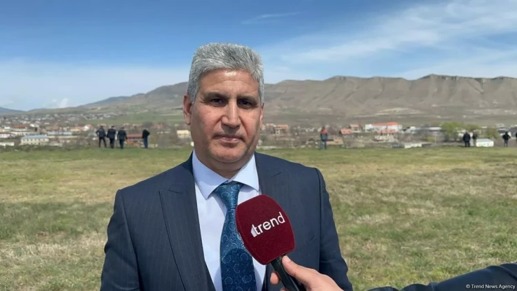 Bu günə kimi 16 kütləvi məzarlıq aşkar olunub - Eldar Səmədov