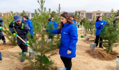 Bakı yaşıllığa bürünür - FOTOlar
