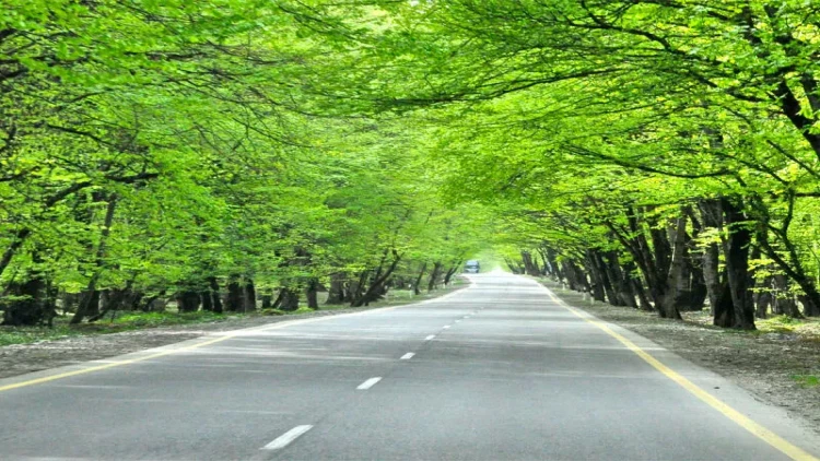 “Avtomobil yolları haqqında” qanun dəyişdi