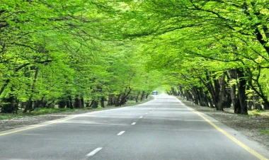 “Avtomobil yolları haqqında” qanun dəyişdi