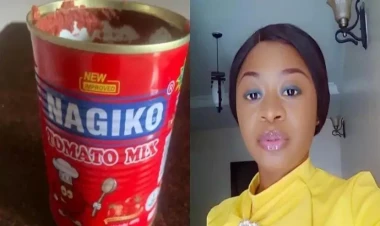 İnternetdə tomat haqqında rəy yazan qadın həbs edilə bilər - FOTO