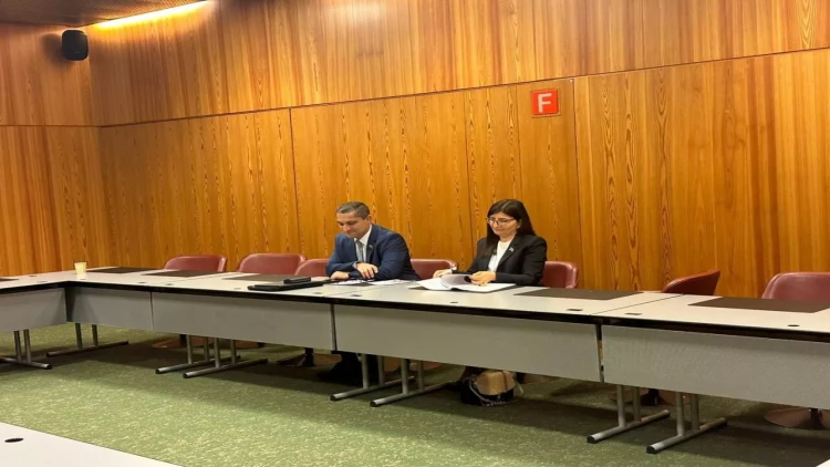 Azərbaycan və Britaniya deputatlarının görüşü keçirilib - FOTO