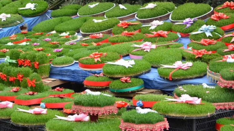 Bayramdan sonra səməni hara atılmalıdır? - VİDEO