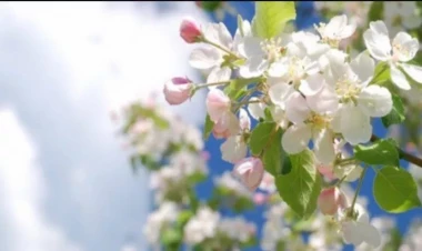 Novruz bayramının astronomik İZAHI