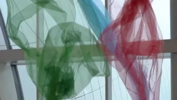 Heydər Əliyev Mərkəzində kəlağayıların möhtəşəm rəqsi - VİDEO