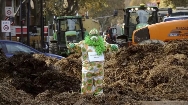 Fransada fermerlər hökumət binası qarşısına  təkər yığdılar