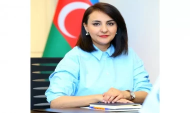 “Bir sıra QHT-lər isə yalnız sədrlərdən ibarətdir”