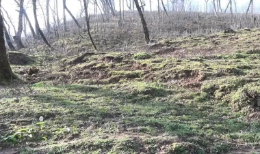 Astarada torpaq sürüşməsi, ailələr təhlükə ilə üzləşdi - FOTO