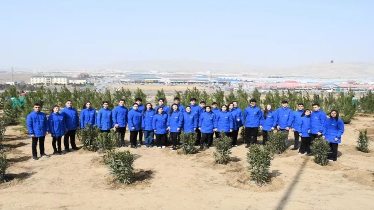 Bakıda növbəti ağacəkmə aksiyası keçirilib - FOTO