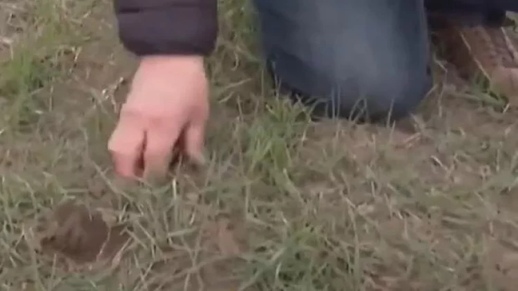 Xocalıdan GÖRÜNTÜLƏR: Dörd min hektar ərazidə proses başladı - VİDEO