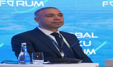 Yaşıl sahədə liderliyimizi əldən vermək istəmirik - Elnur Soltanov