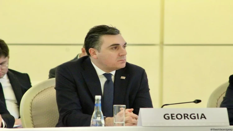 Gürcüstan regionda sülhün təmin edilməsinə töhfə verməyə hazırdır - İlia Darçiaşvili