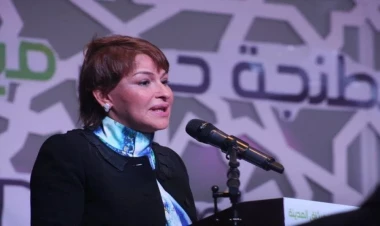 Azərbaycandan xahiş edirik ki... - COP21-in Vitse-prezidenti