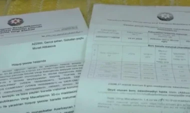Gəncə sakini xəbəri olmadan beş şirkət sahibi oldu - VİDEO